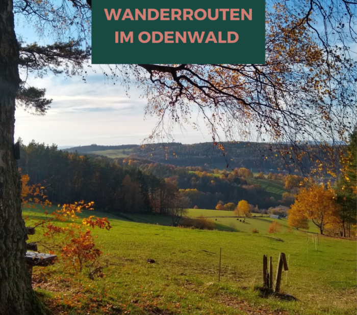 6 Wanderrouten + Bonus