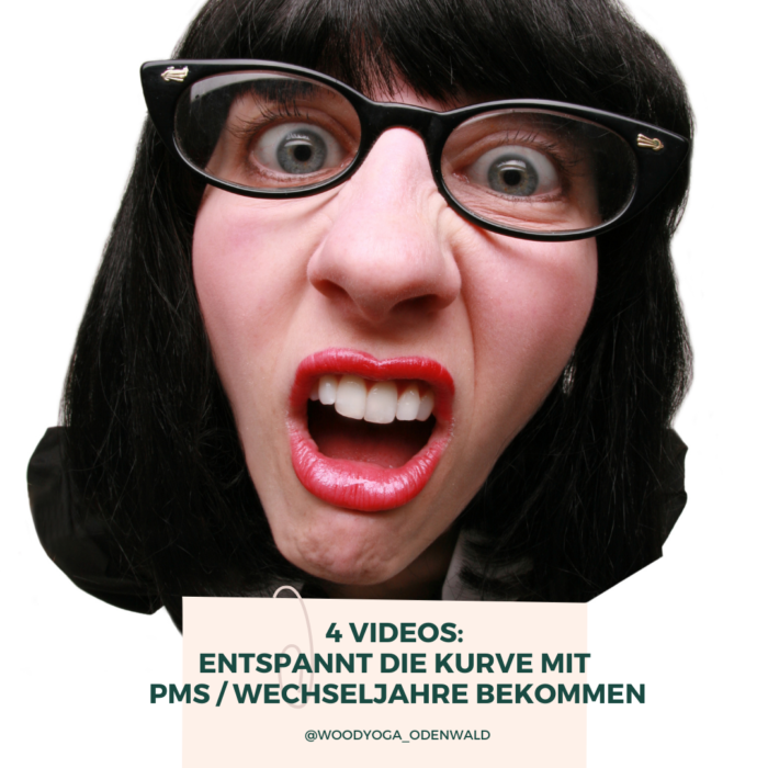 Videopaket: Stress erkennen und Ressourcen aufbauen