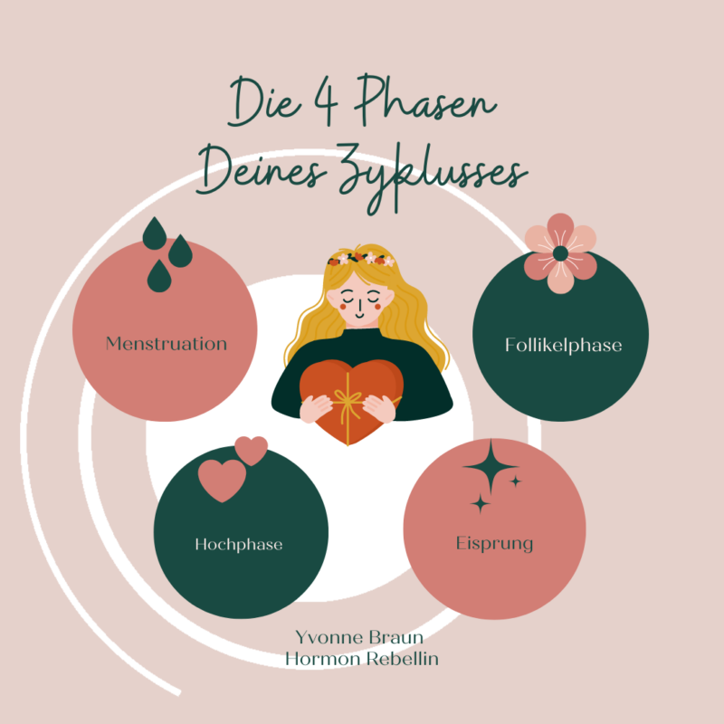 die verschiedenen Phasen des weiblichen Zyklus