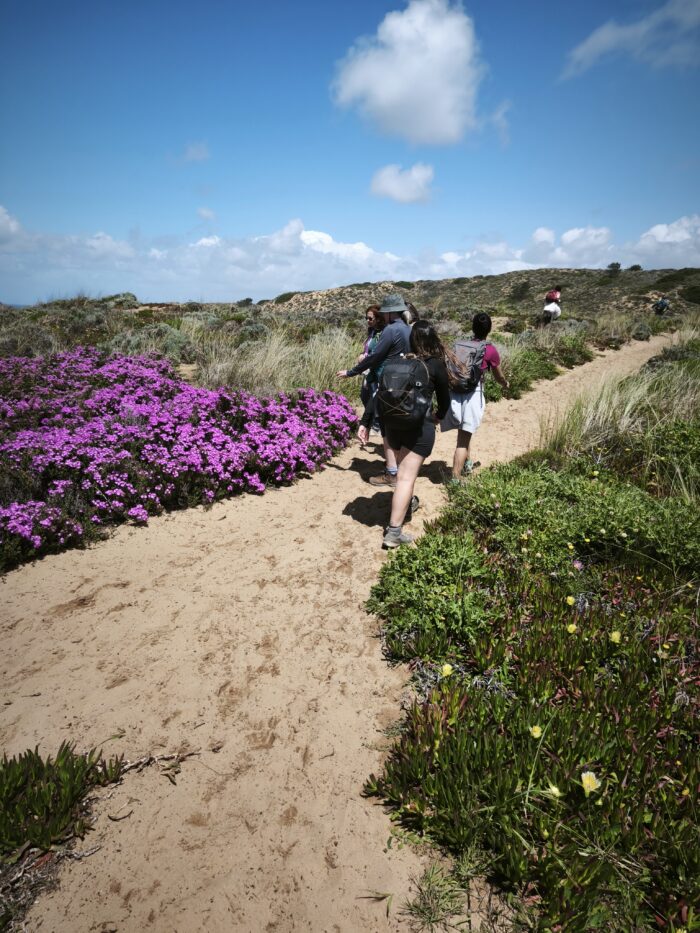 Yoga & Wandern auf der Rota Vicentina 14.04. bis 21.04.2026